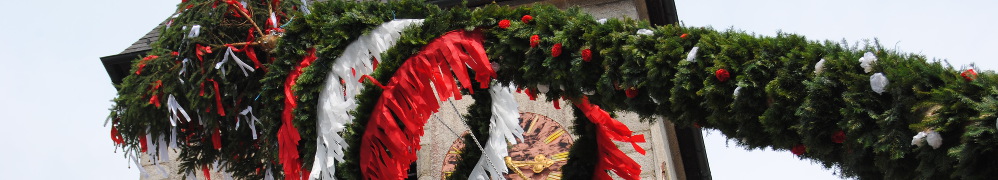 Maibaum.jpg